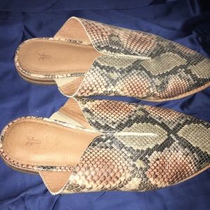 Frye women’s size 8 Condition-Good